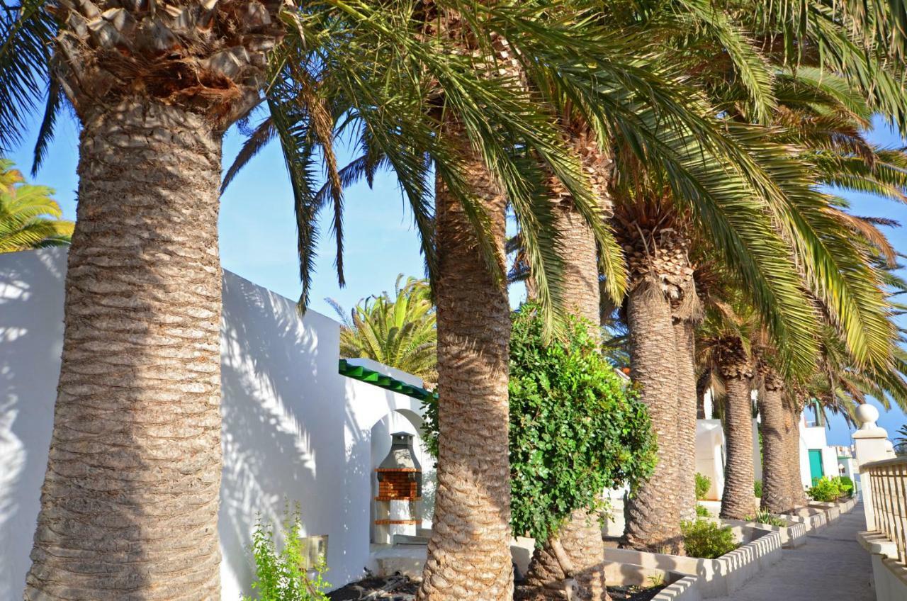 Ferienwohnung Presidente 2 - Pool - Glasfaserinternet - Costa Calma Exteriér fotografie